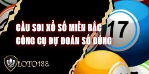 Cầu Soi Xổ Số Miền Bắc - Công Cụ Dự Đoán Số Đúng